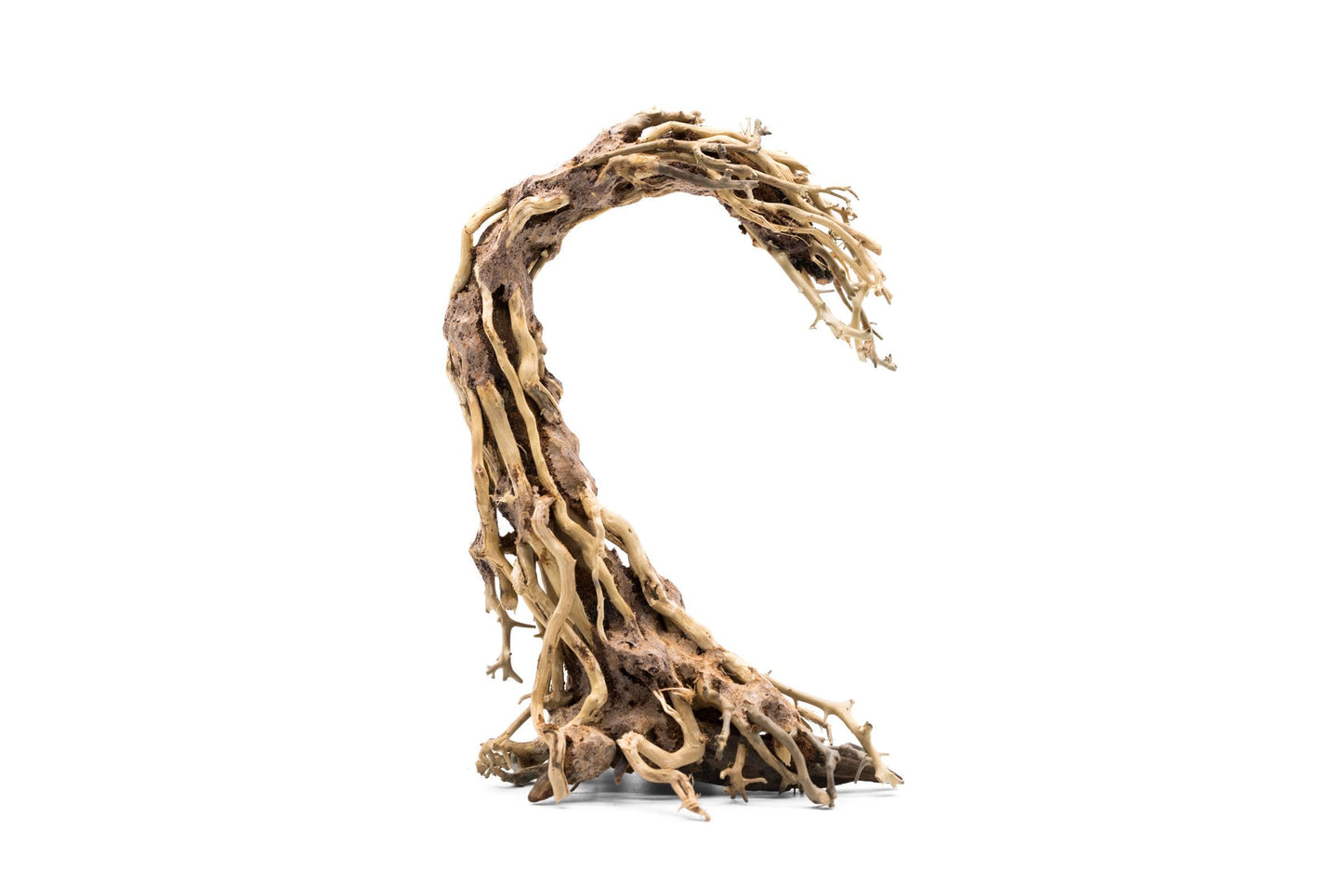 Crescent Shaped Bonsai Tree Aquarium Driftwood