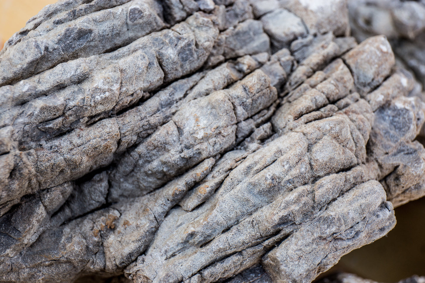 Elephant Skin Stone
