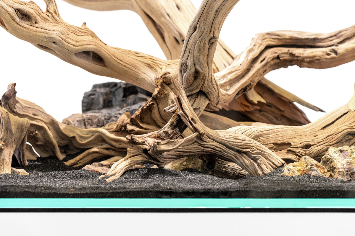 Ghost Wood