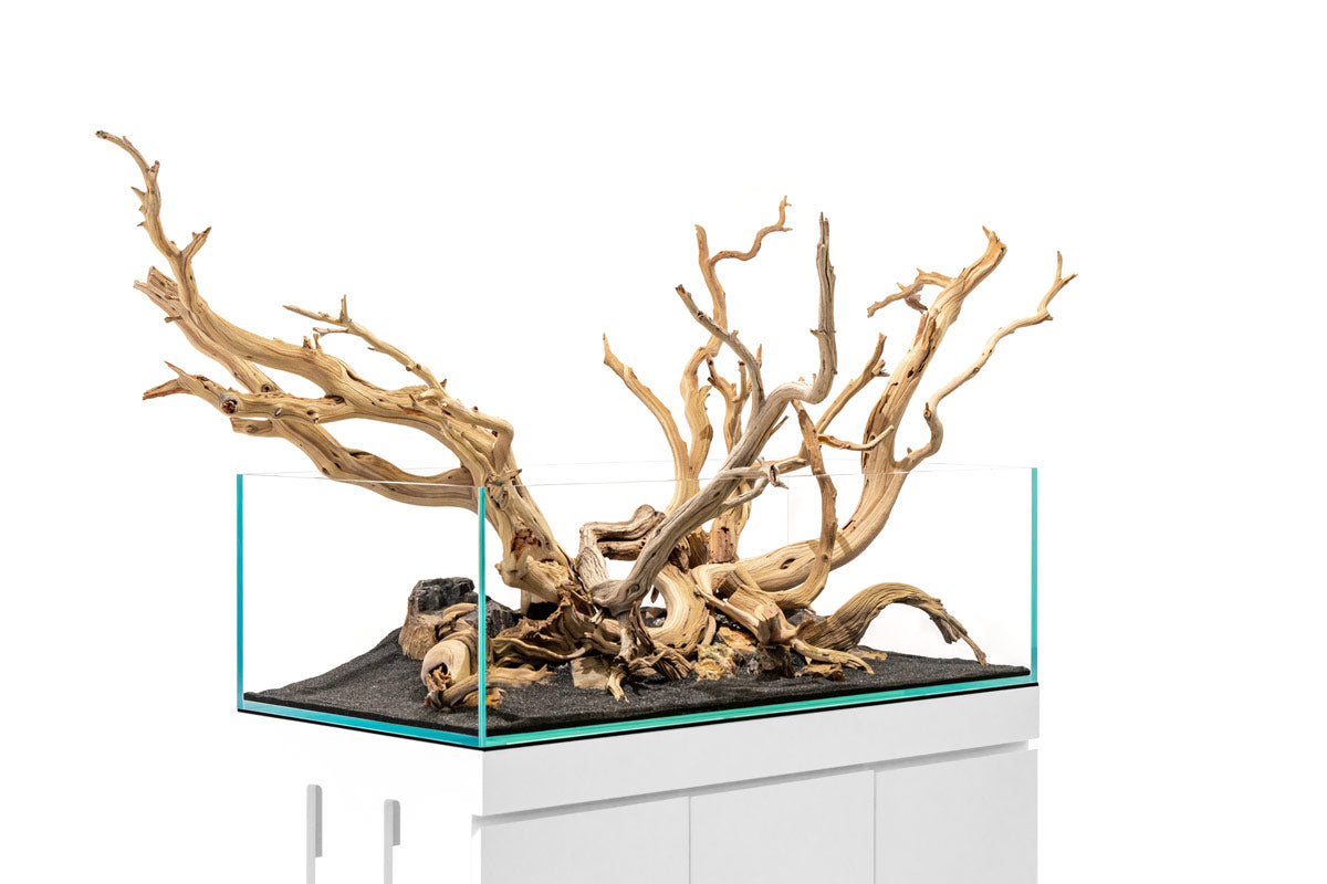 Ghost Wood