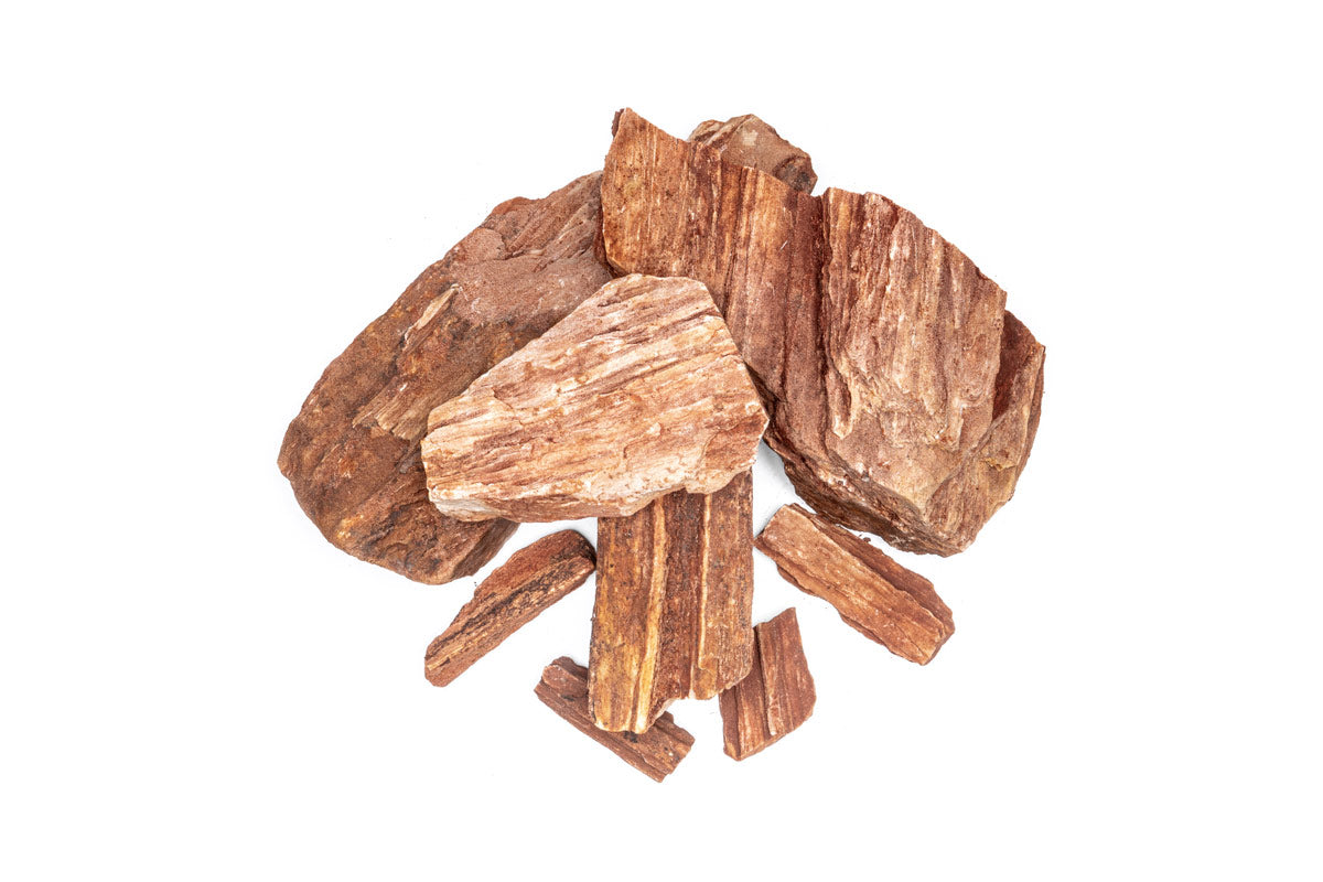 Red Petrified Wood