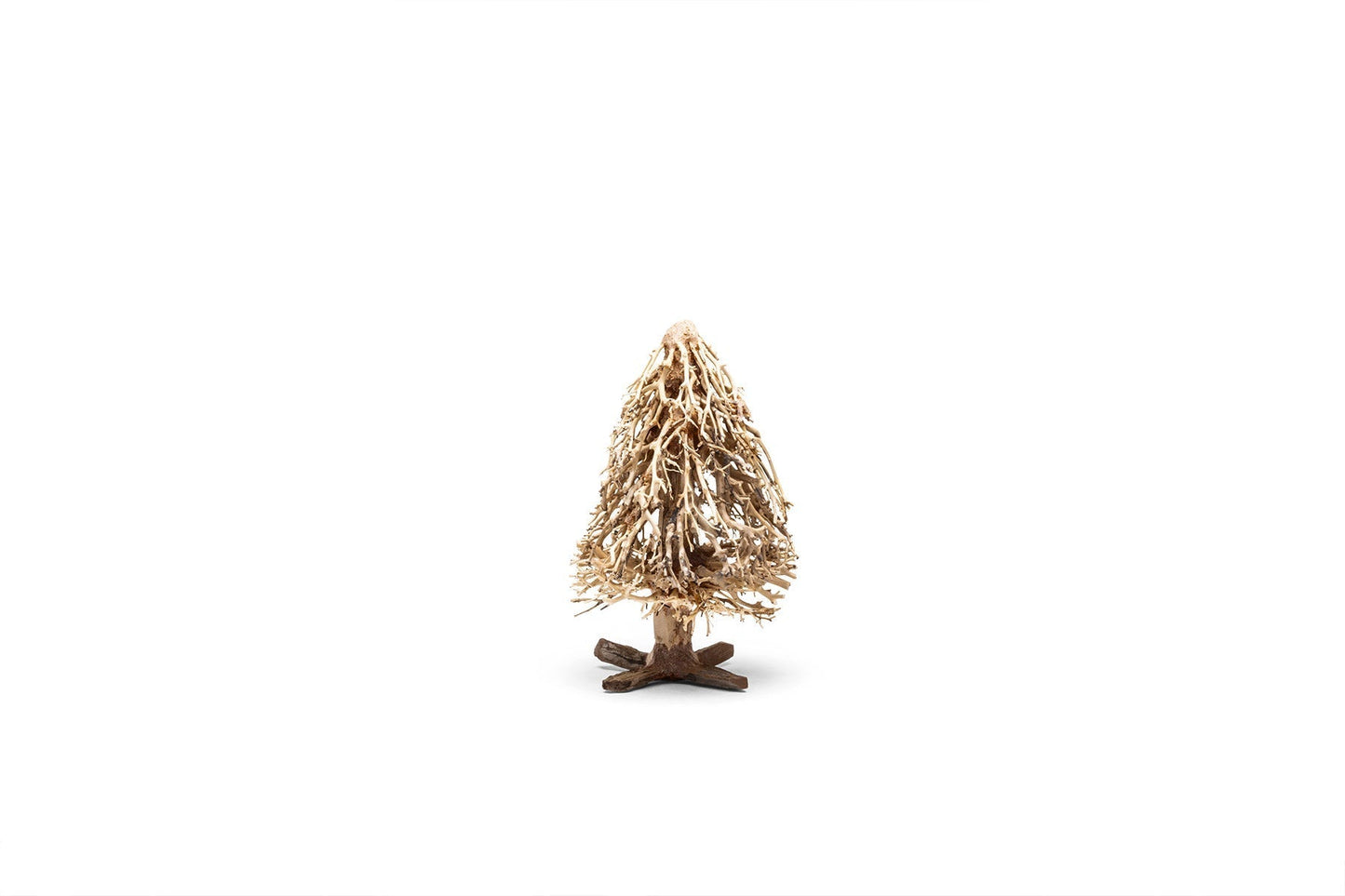 UNS Bonsai 009